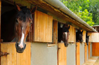 free Minster stable construction quotes